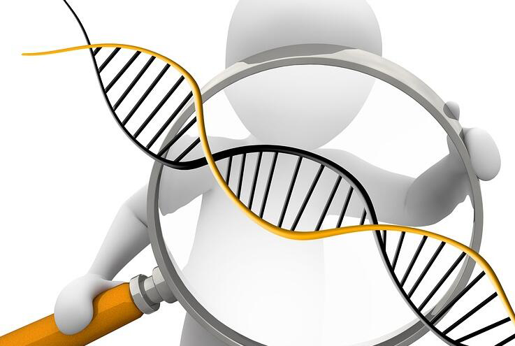 黔南哪家医院可以做亲子鉴定,黔南医院做DNA亲子鉴定程序是什么